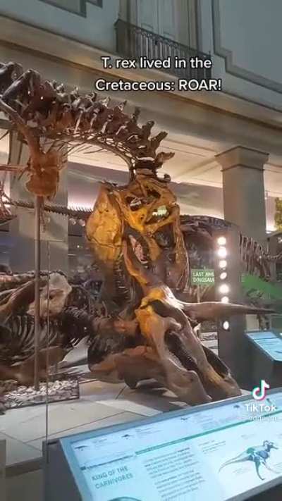 a cute little jingle about the geologic eras i found a while ago :)