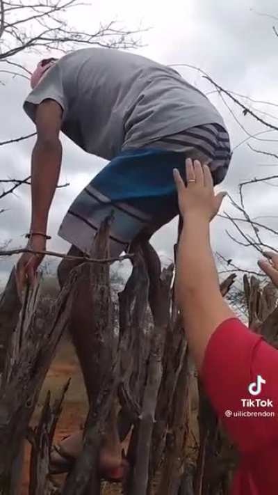 Natural Vasectomy