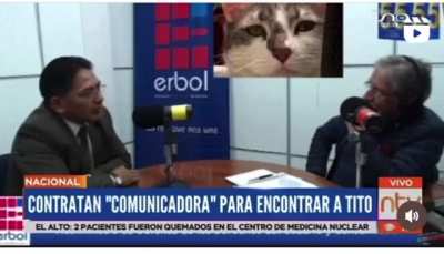saquenme de bolivia 😭"contratan comunicadora interespecies para hallar al gato Tito"
