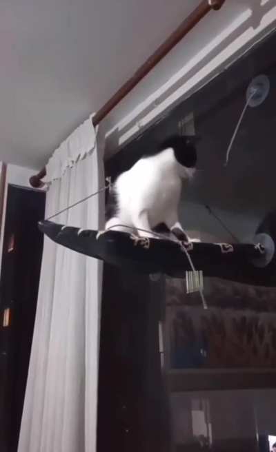 Why did the Wunkus fall to his death? Is it stupid?