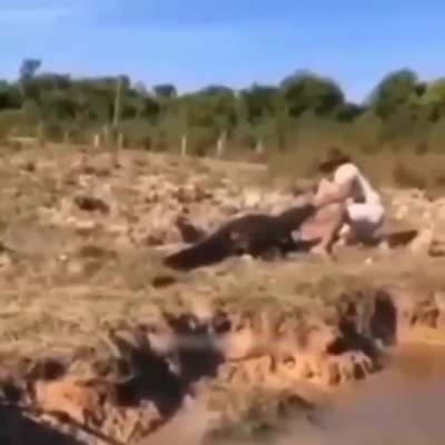 To pet a wild animal