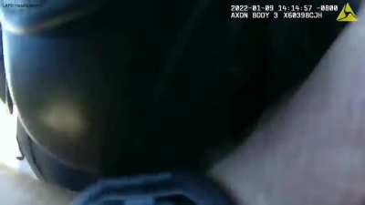 There&rsquo;s a different angle of this video in this sub. They didn&rsquo;t mention they just pulled the pilot as it was hit 👀