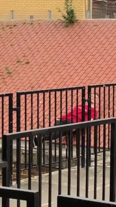 Fall off the roof