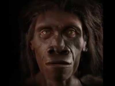 Our face from our recent ancestors to us