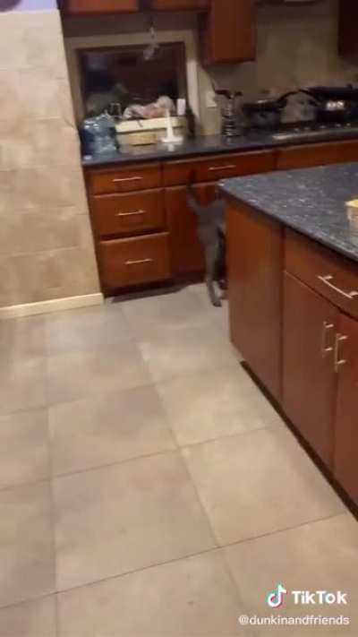 Butter doggo