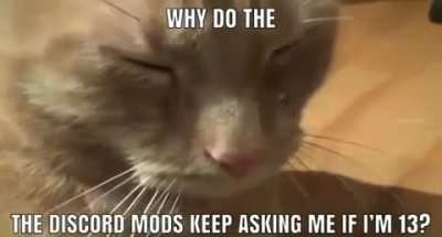 😭😭😭😭😭