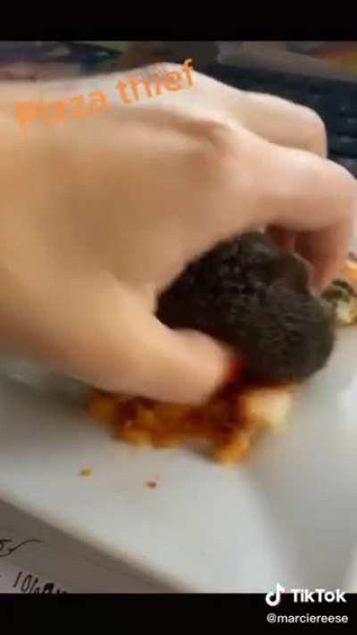 Proof pizza is addictive