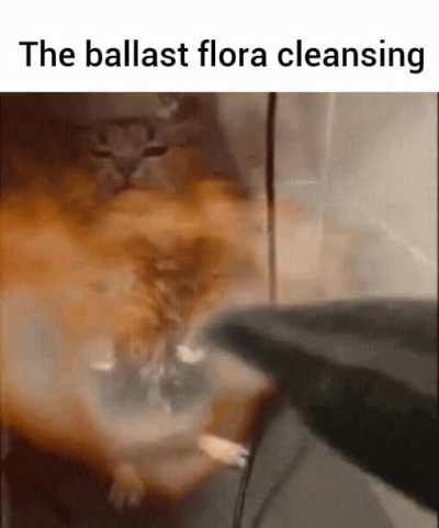 "I wish there was a way to eradicate this hostile flora"