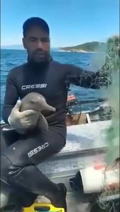 The Man help the baby dolphin. He's so kind.