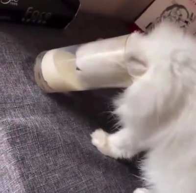 It&rsquo;s a liquid kitty.
