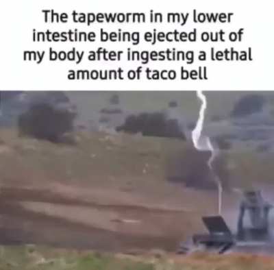 S P I C Y