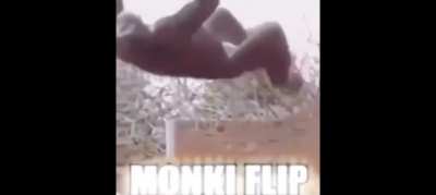 Minecraft flip