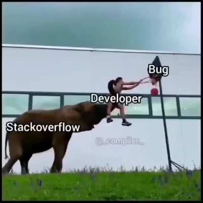 Stackoverflow be like, "Let me help you, dude!"