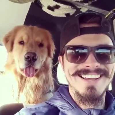 dog