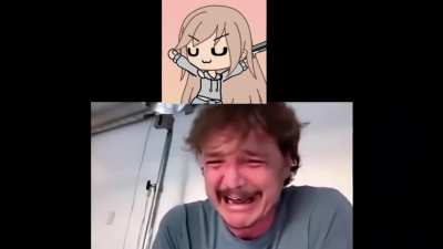 confirmamos?
