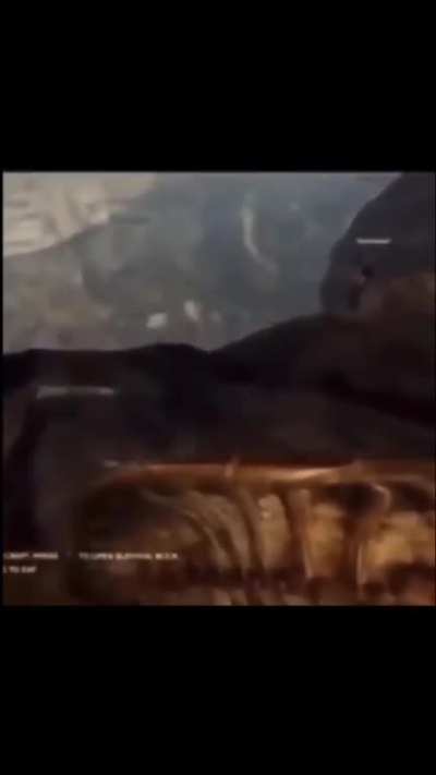 ni🤪
