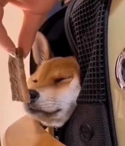 Wakey wakey