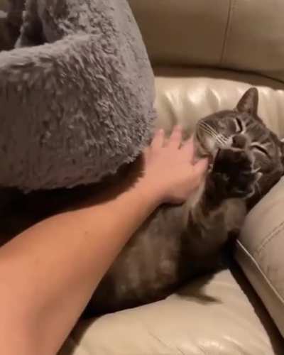 i&rsquo;m in love