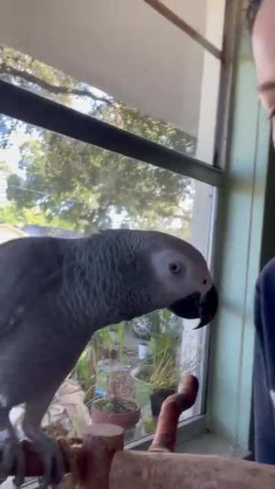 Apollo pranks then demands kiss