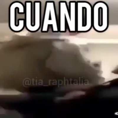 Momento chavo del 8