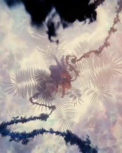 My latest piece, &ldquo;In Pursuit of the Sollus&rdquo; on Bubblehouse
