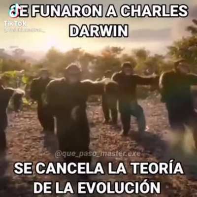 Return to monke