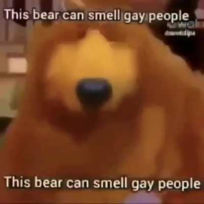 Gay. Nice.