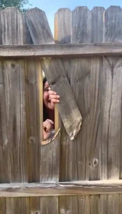 Here&rsquo;s Johnny