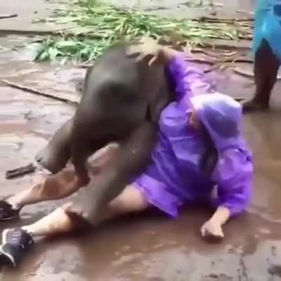 Maybe Maybe Maybe