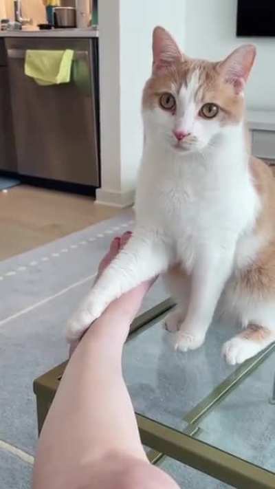 Inevitable chomp.