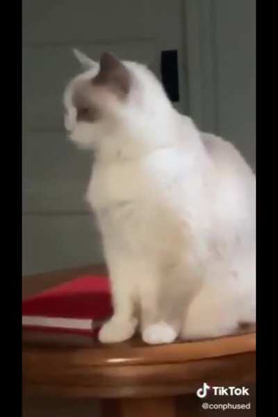 wATcH aS H0uSeCAt