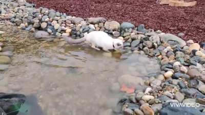 to catch raindrops