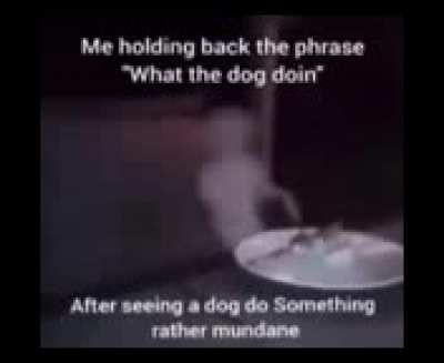Rrgerrrrrrhhnnnnnn