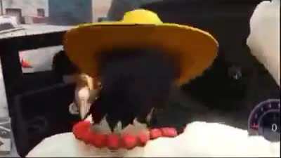 leaked gameplay of new pirate warriors