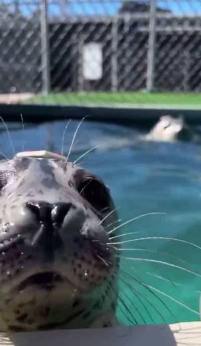 Extreme close up!