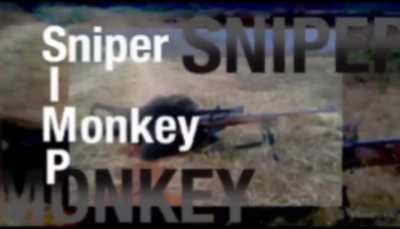 Yes, I'm a SIMP