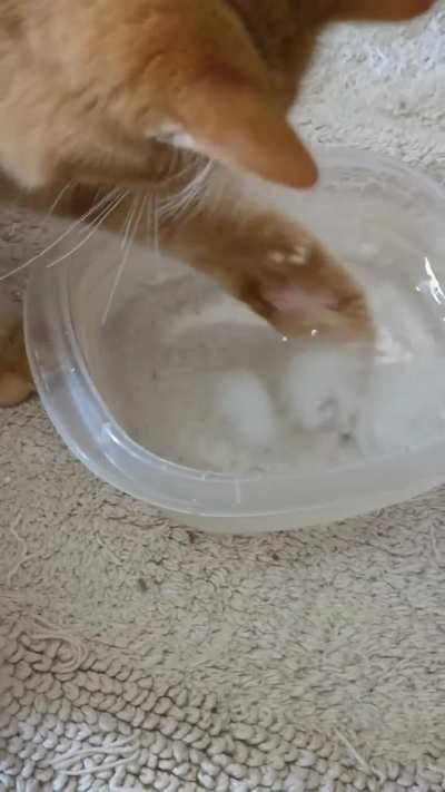 Touch Tha ice cube