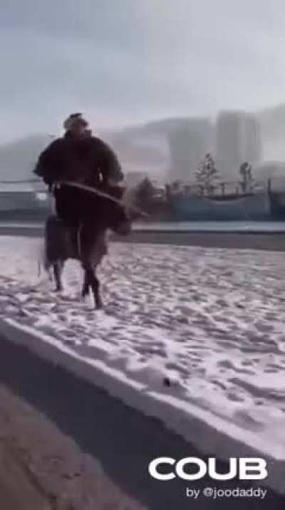 Типичная Монголия