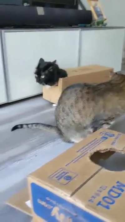 Tom box