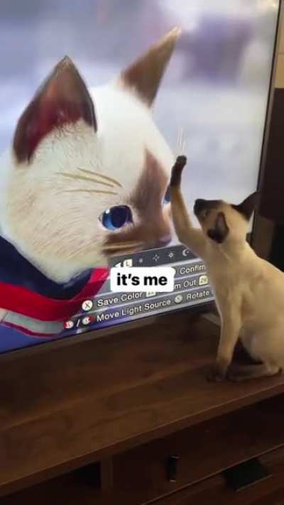 It&rsquo;s me 😻