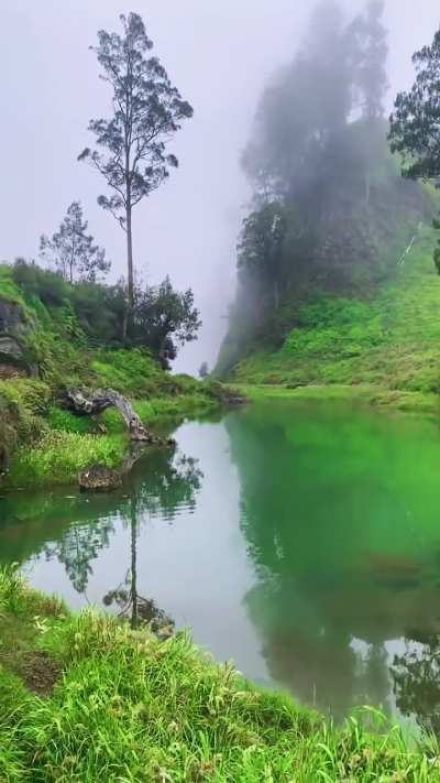 Pond near Segara Anak Lake, Indonesia