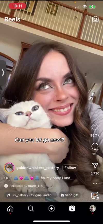 The poor cat..
