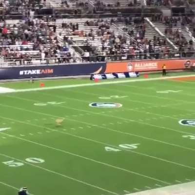 Dog setting the world record with an 83 yard frisbee catch.
