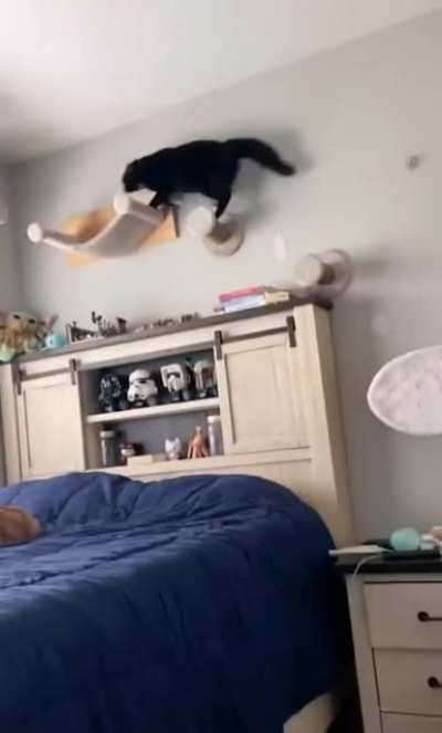 Dive Wrestling