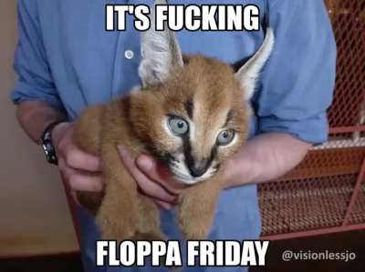 IT IS FUKKEN FLOPPA FRIDAY
