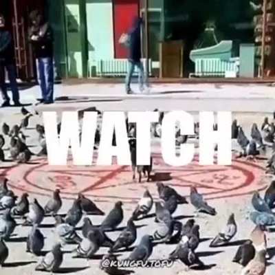 memes