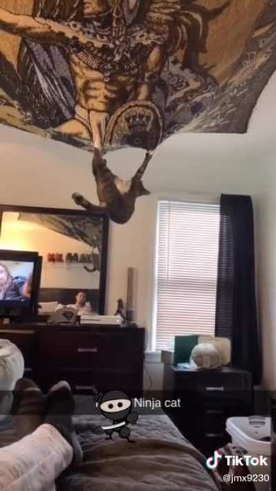 Ceiling Hammock