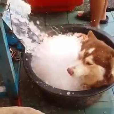Slush Puppy