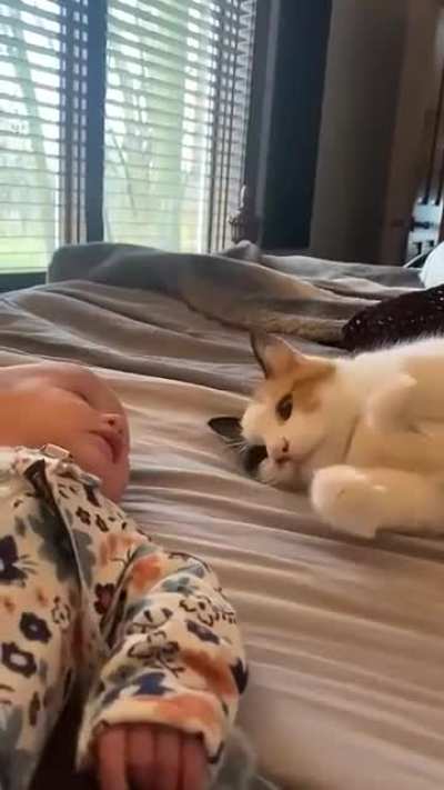 That Gentle Paw and Kiss to Baby🥹🦋...