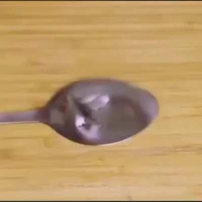 Xd